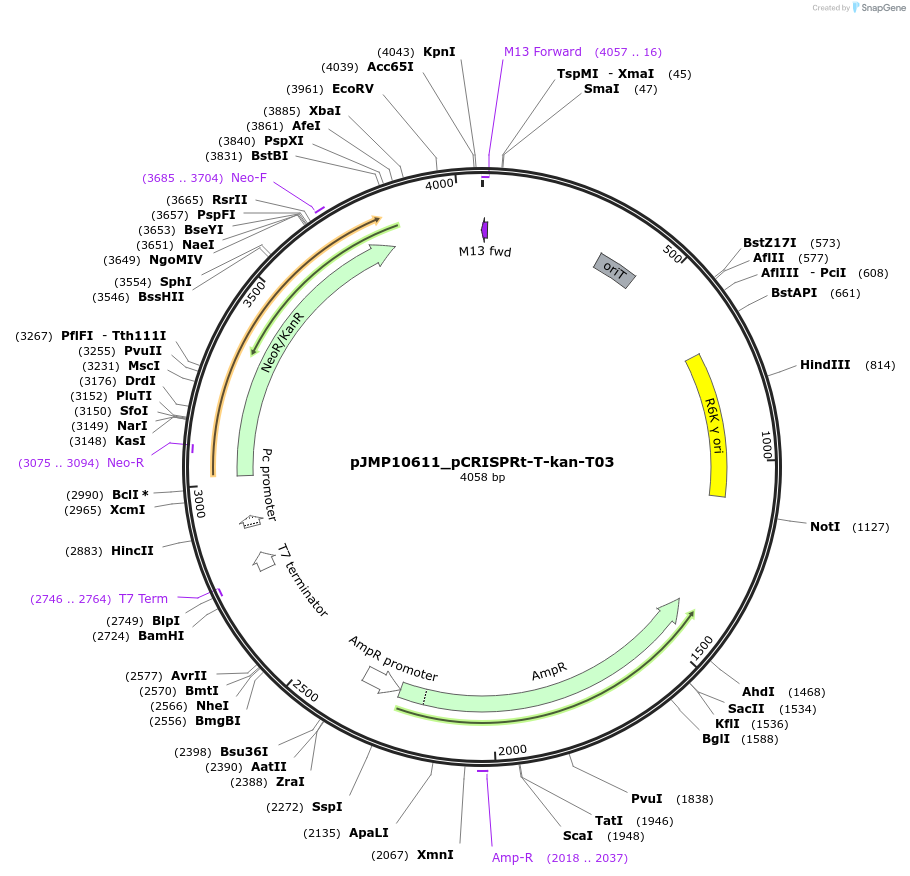 461201_map
