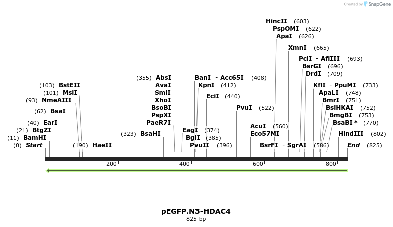 46186_map