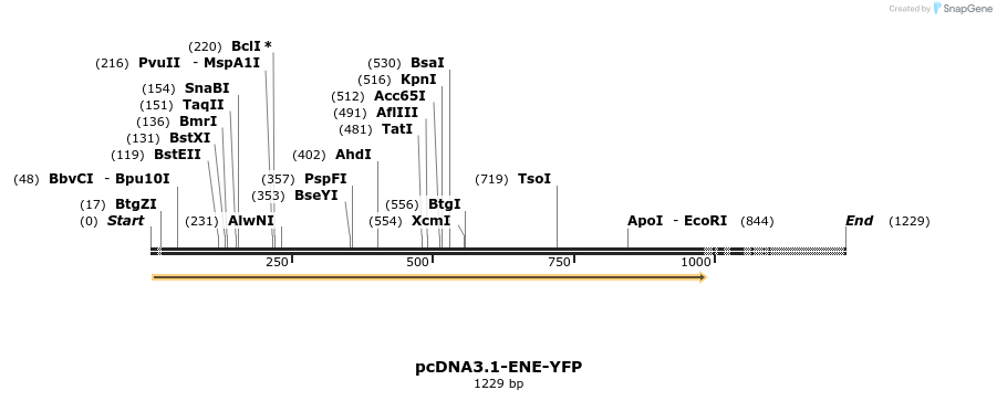 462286_map