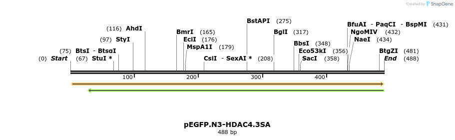 46309_map