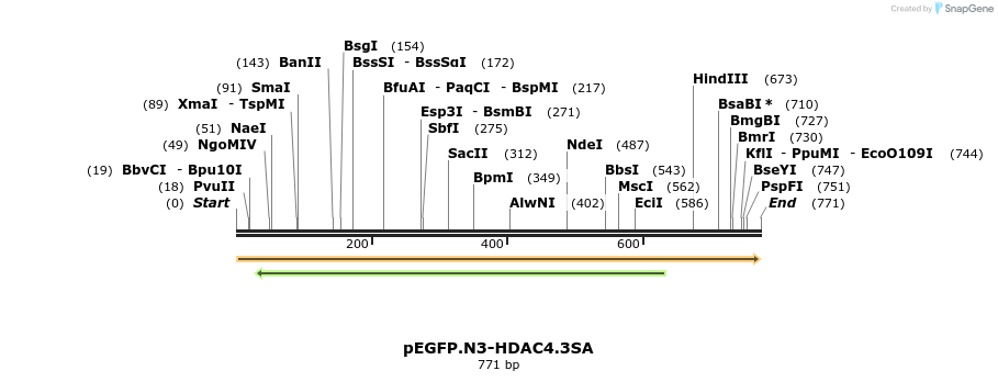 46310_map
