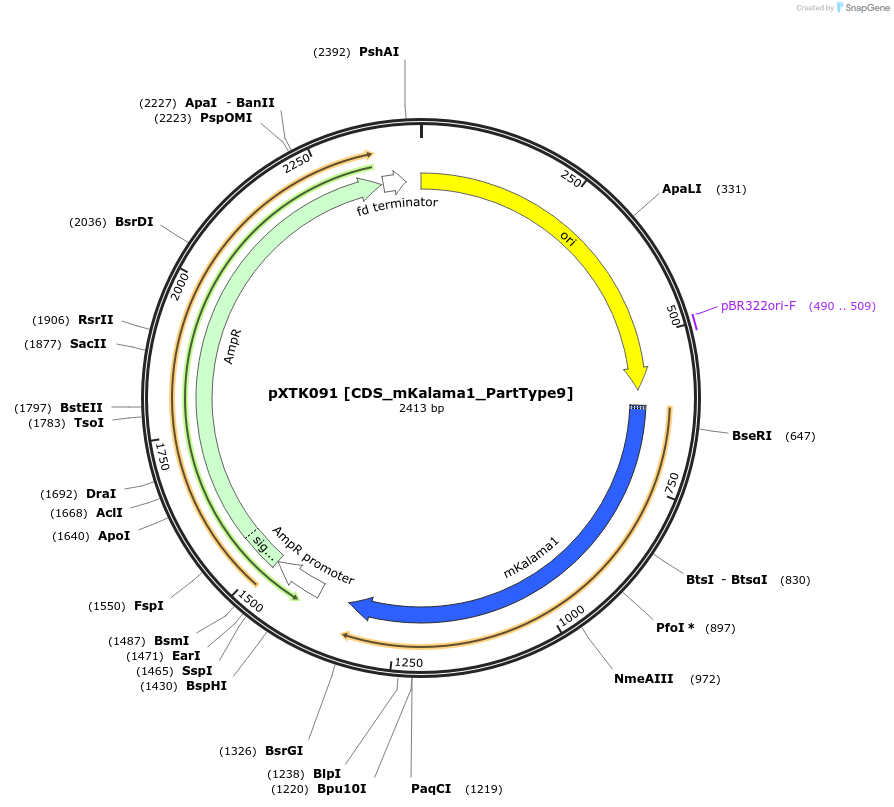 229328-plasmid-map-sequence-id-464717