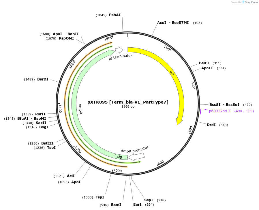 229332-plasmid-map-sequence-id-464721