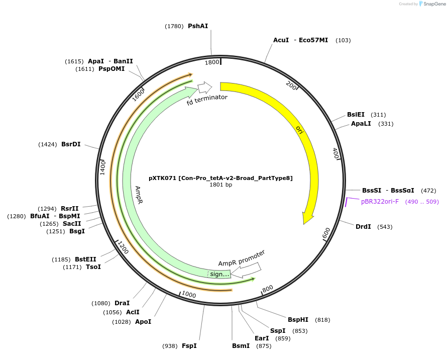 229308-plasmid-map-sequence-id-467920