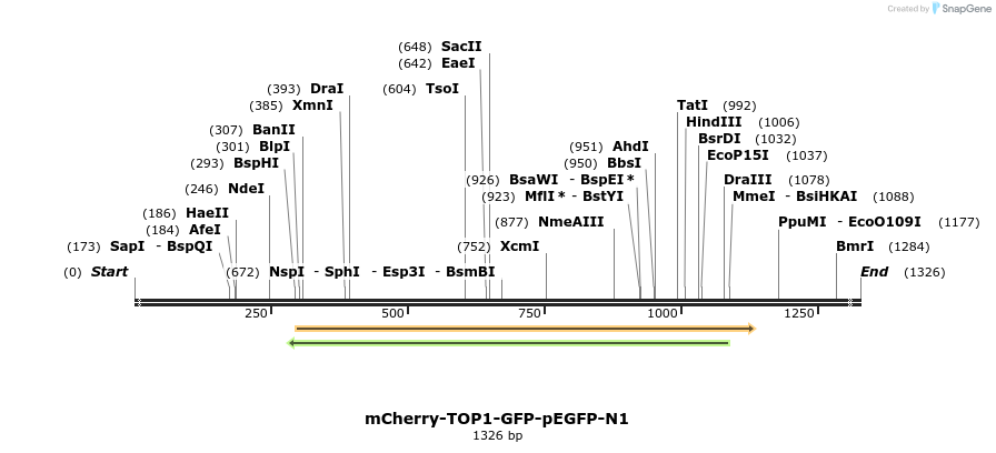 468777_map