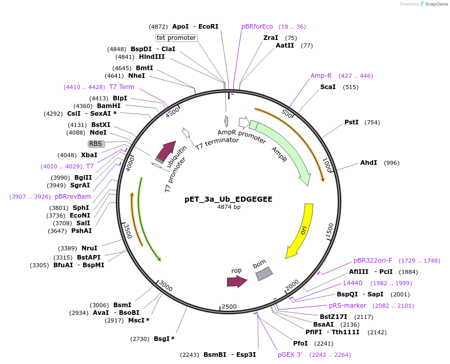 471091_map