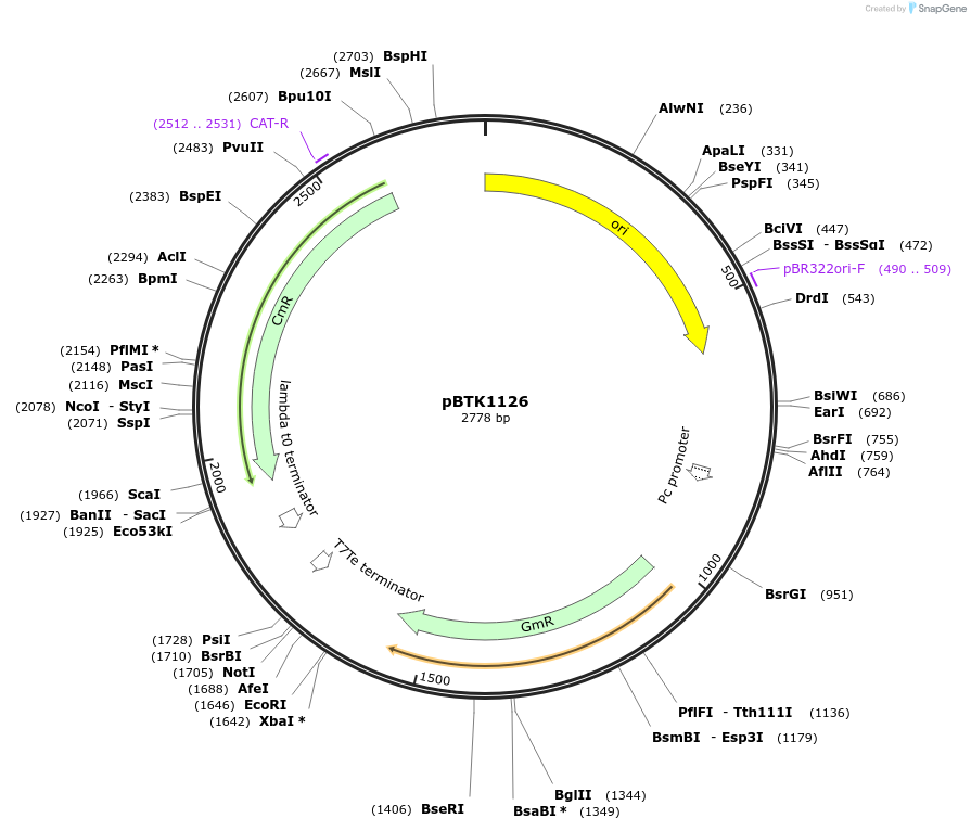 236187-plasmid-map-sequence-id-471092
