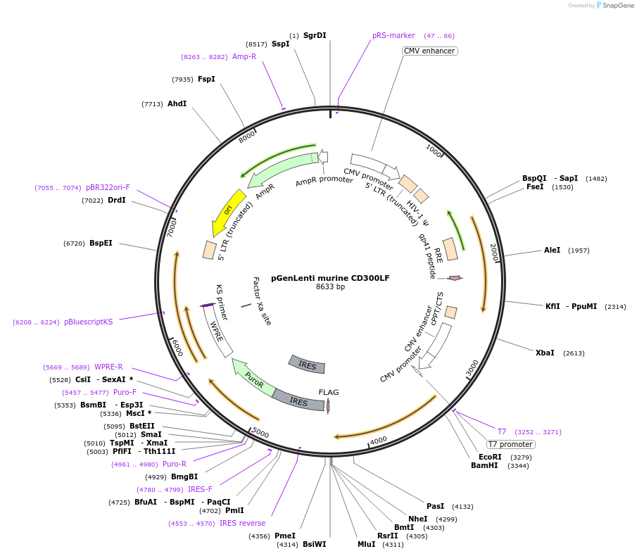 235668-plasmid-map-sequence-id-471726
