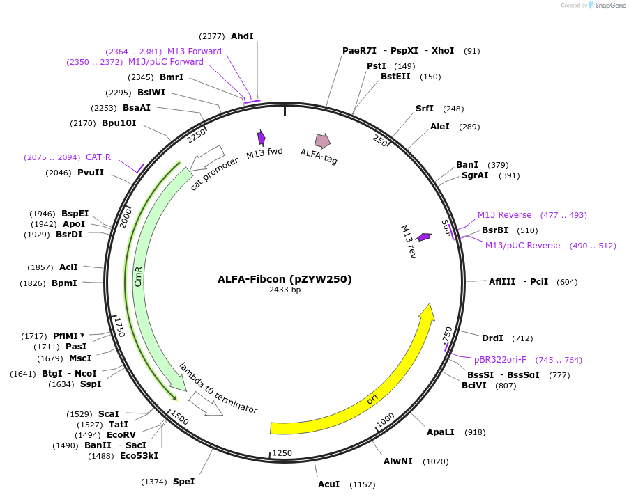 471801_map