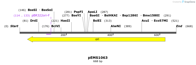 47285_map