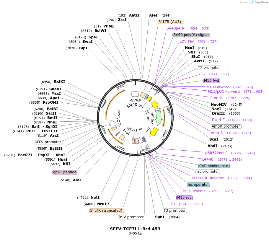 219359-plasmid-map-sequence-id-473153