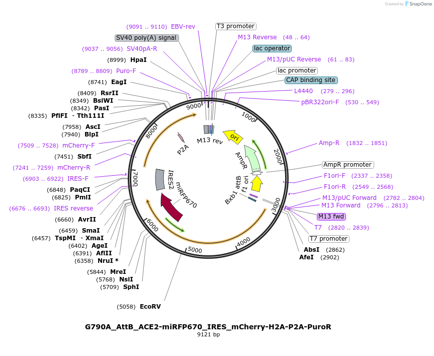 474699_map