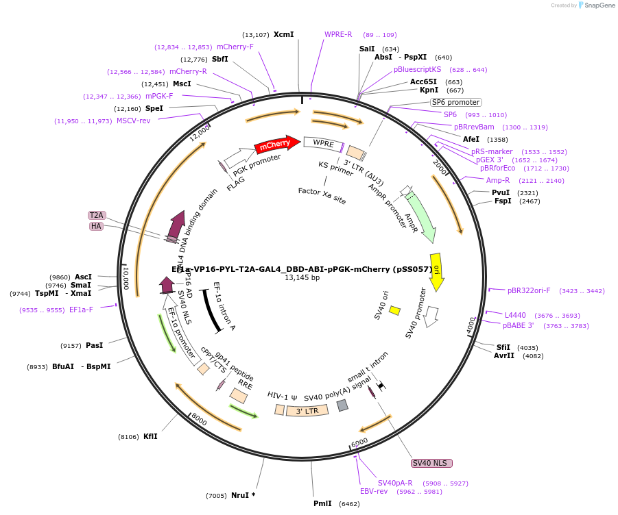 475402_map