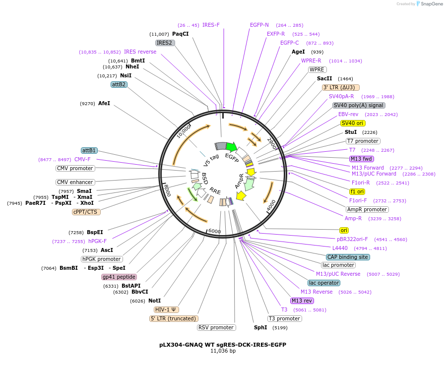 482322_map