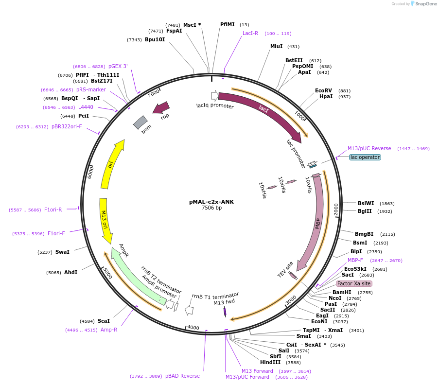 483312_map
