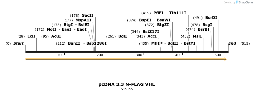 484177_map