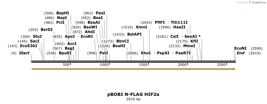 484193_map