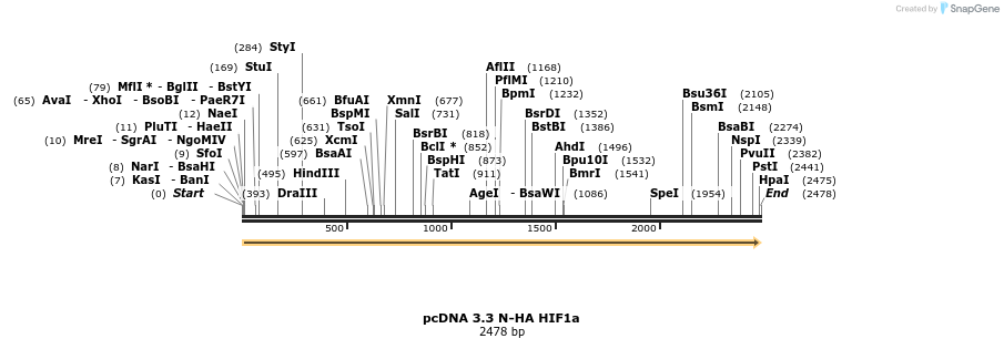 484197_map