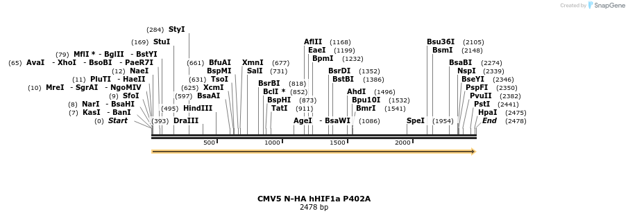 484201_map
