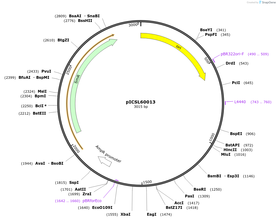 245670-plasmid-map-sequence-id-495564
