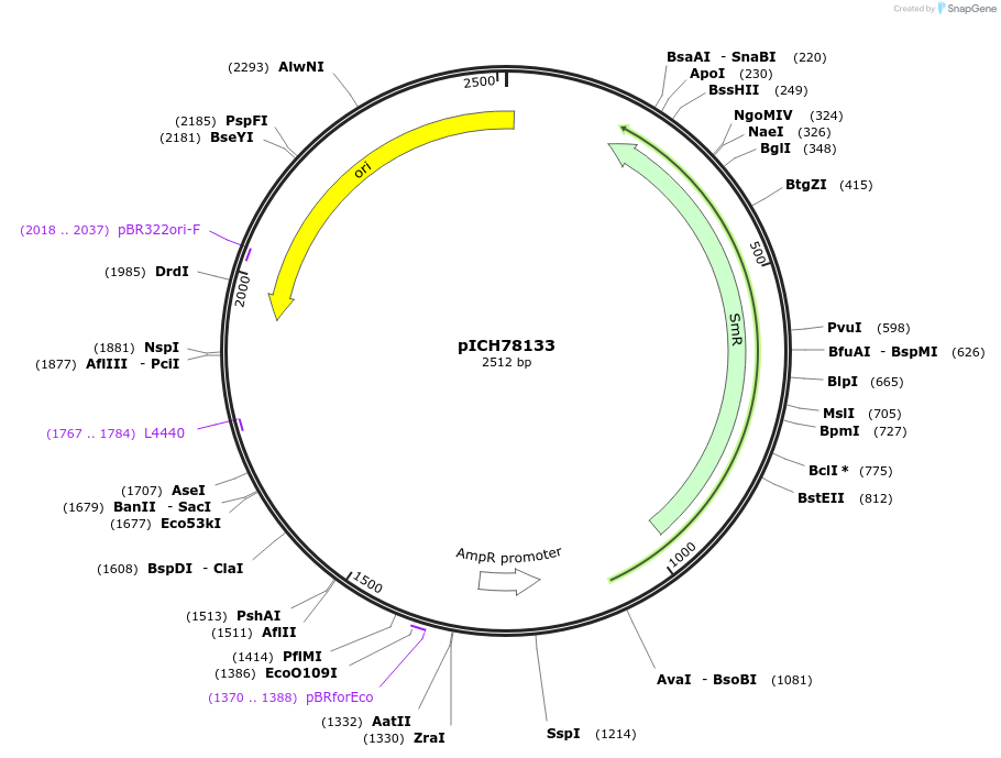 50292-plasmid-map-sequence-id-497524