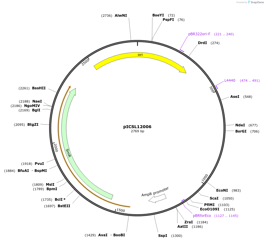 50270-plasmid-map-sequence-id-497534