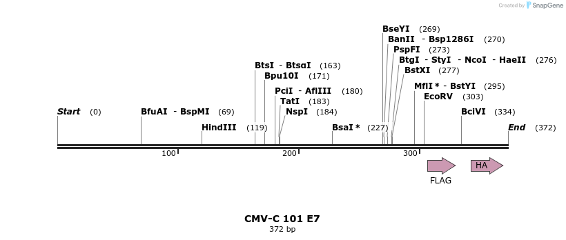 500683_map