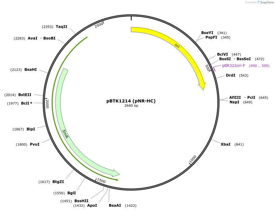 252052-plasmid-map-sequence-id-501676