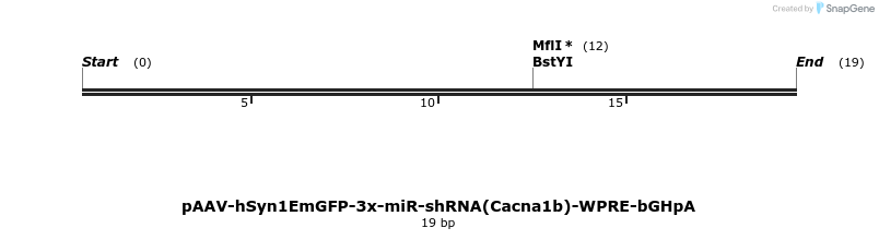 502085_map