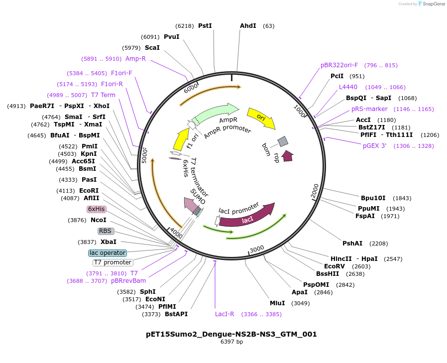505751_map