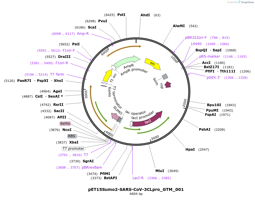 505752_map
