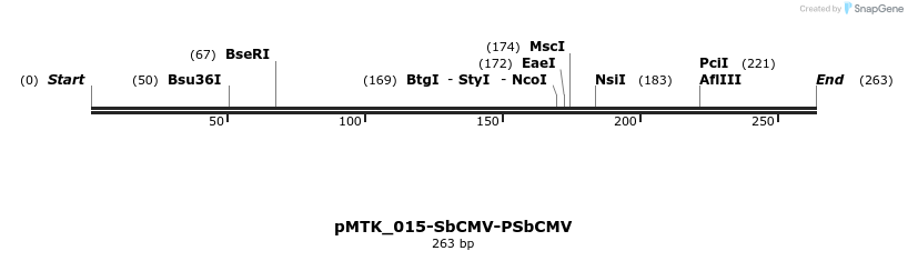 505909_map