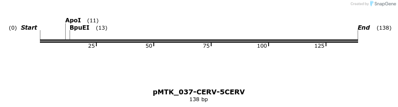 505953_map