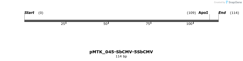 505969_map
