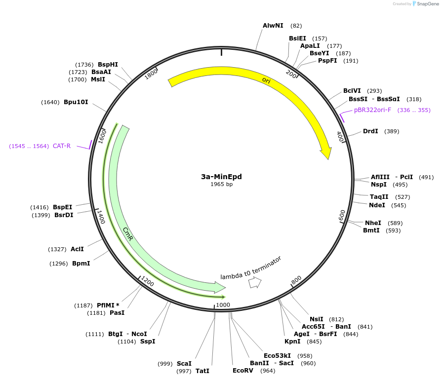 507273_map