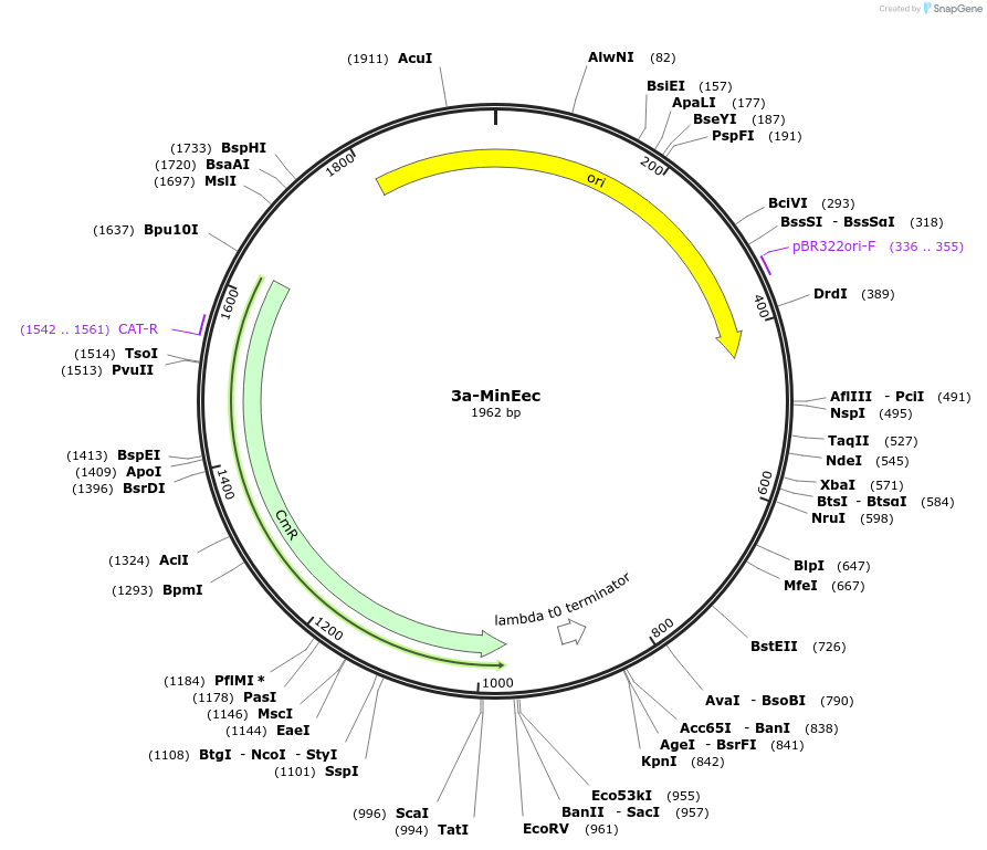 507275_map