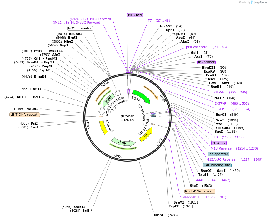 507512_map