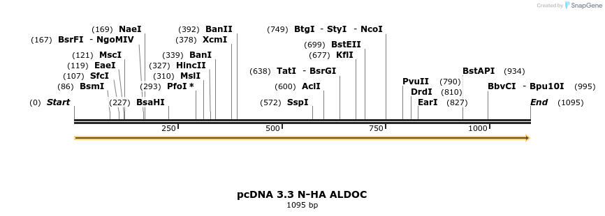507776_map
