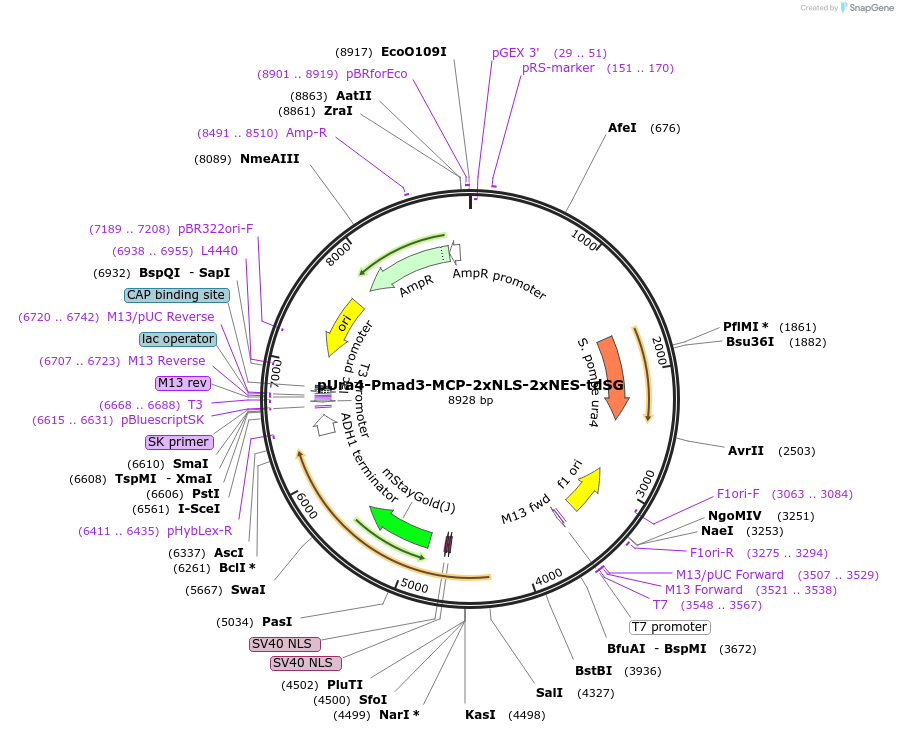 507845_map
