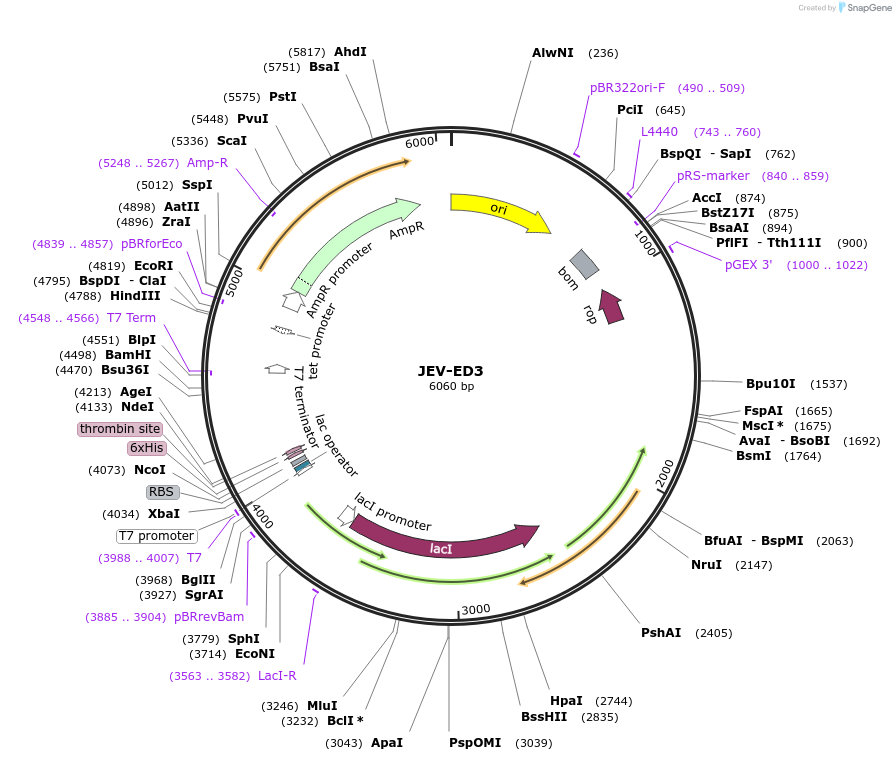 508314_map