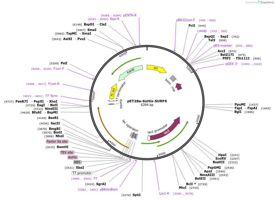 509016_map