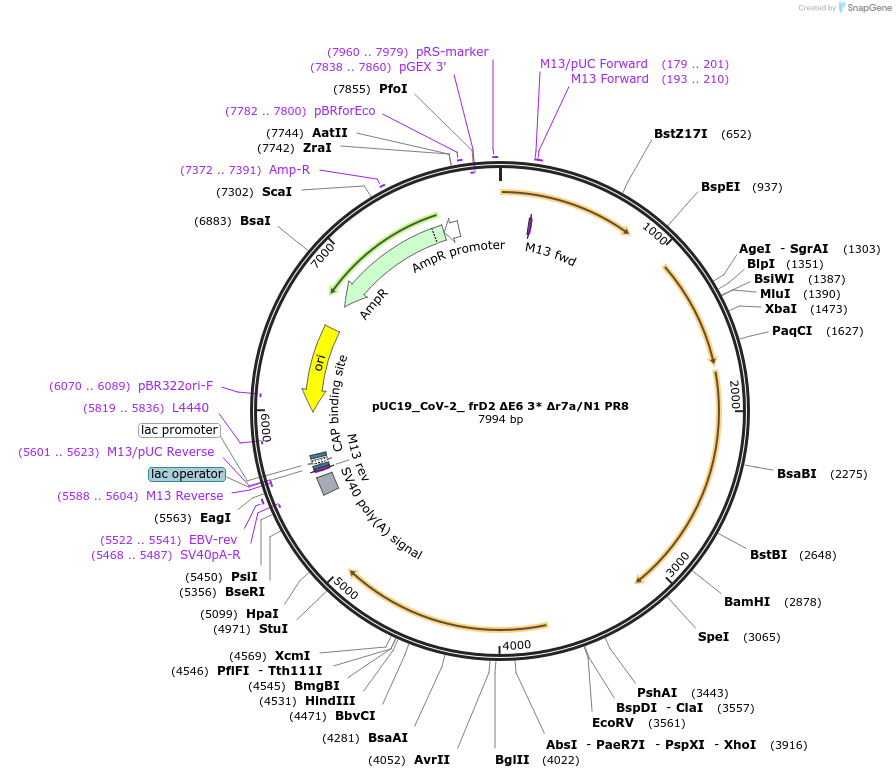 509018_map