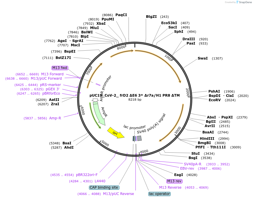 509020_map