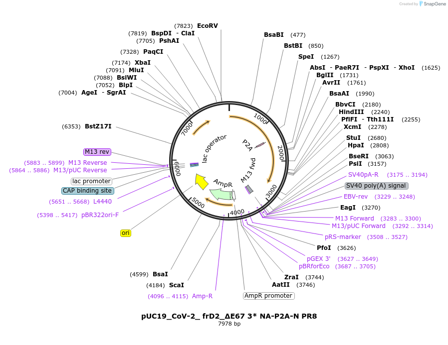 509022_map