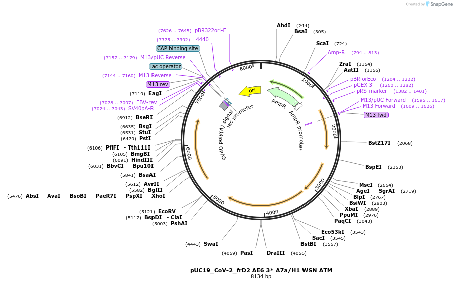 509023_map