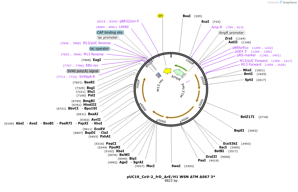 509024_map