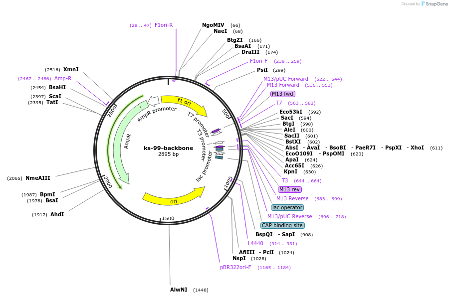 255270-plasmid-map-sequence-id-509422