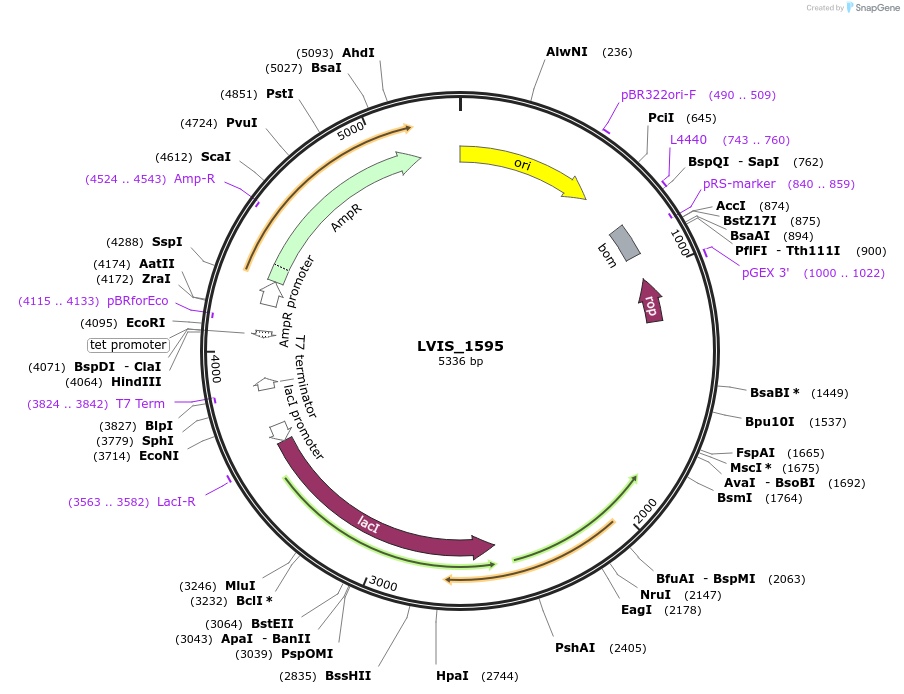 509502_map