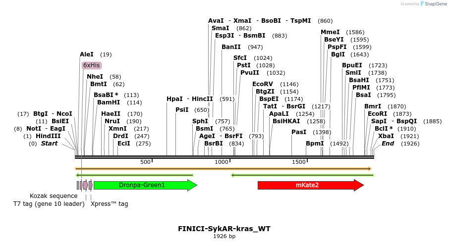 509871_map