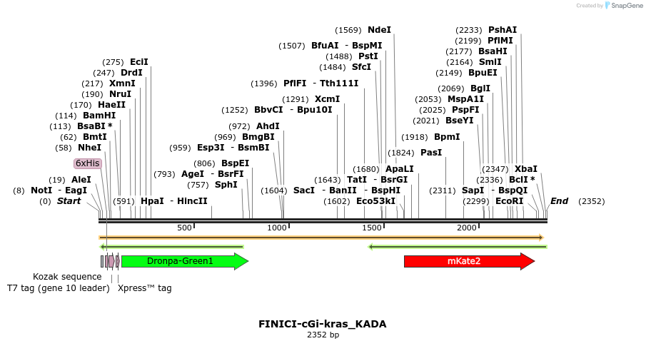 509873_map